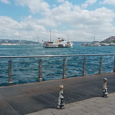 yasarulusoy's profile picture. 