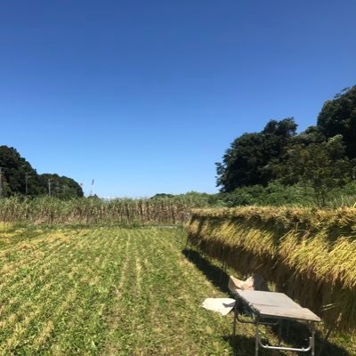 mikotansmile's profile picture. 【農業14年目】公務員(20年)→農業へ。都心から田畑ある市原市に移住。雑草だらけ。変化・進化。休息・静観「集中力」「新しいアイデア」農業から①人の笑顔②人のつながり③人間力を学ぶ。面倒で複雑な農業を経験〜失敗〜チャレンジ 〜失敗の連続【行動からの学び＊本質】畑から辛いこと苦しい、大変な事を経験で学ぶ。