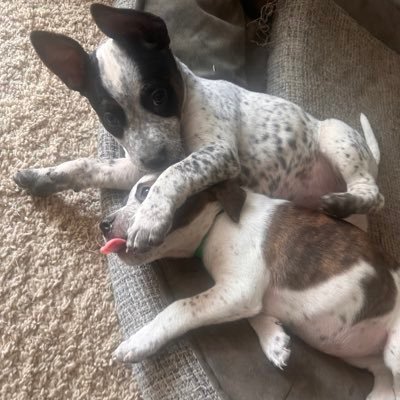 frank0425's profile picture. 