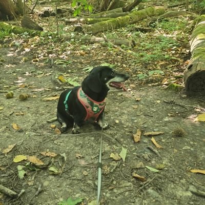 essex_keith's profile picture. onwards and upwards