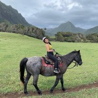 Grace (@horbdot) 's Twitter Profile