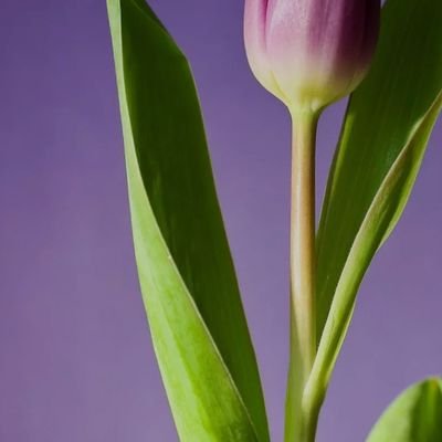 AlbryhyAhm25118's profile picture. 