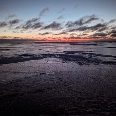 uniongrl343's profile picture. 