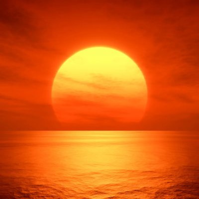 roynittanondo8's profile picture. 