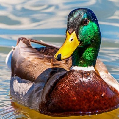 WorldReportNew1's profile picture. 🌎 News from around the World  
🌲 Stories from the Pacific Northwest, USA (#Oregon #Washington)