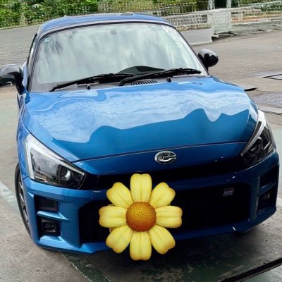 インテグラ(DA6)Ⓜ️→キャロルⓂ️→CR-X(EF)Ⓜ️→アルトワークスⓂ️→ヴィッツ🅰️→ヴォクシー🅰️→ワゴンRⓂ️→ワゴンRⓂ️→インテグラタイプR(DB8)Ⓜ️→スペーシア🅰️(現:夫街乗り)→コペンGRスポーツ🅰️