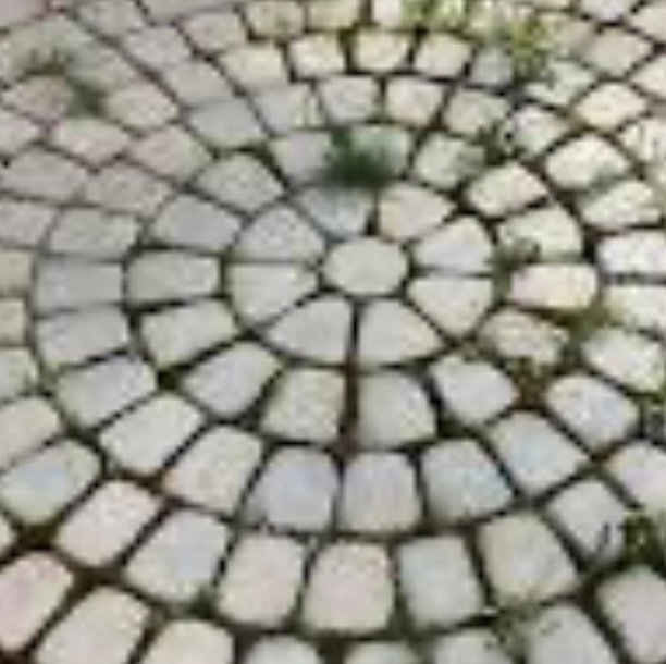 TRoddyRumor's profile picture. 