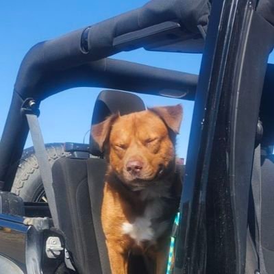 nomadxx333's profile picture. 