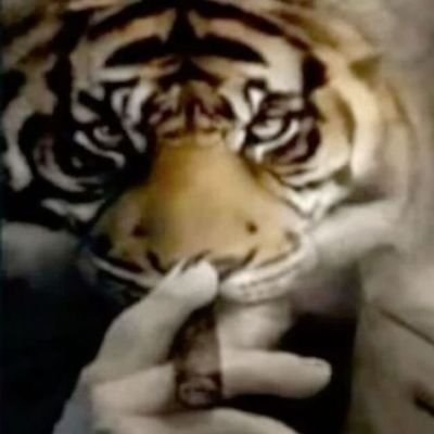 zollinie_'s profile picture. 18↑ | JuliMarx 🧭🫐 | Brazilian artist