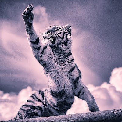 AliAngel664783's profile picture. 