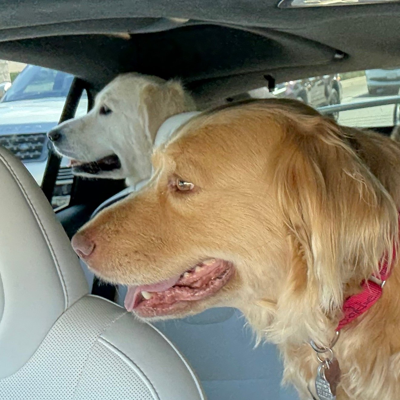 gamesresearch's profile picture. 