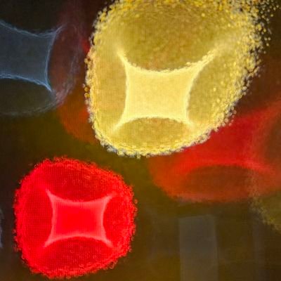 Calimer92121918's profile picture. Ciudadano de donde se respetan las leyes y la cultura.