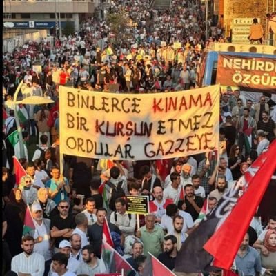 NasrAslan1's profile picture. 