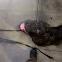 Randolph Allen - @Front7Dolph - Twitter