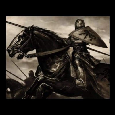 Undoer of injustice, the righter of wrongs, the protector of damsels, the terror of giants, and the winner of battles.