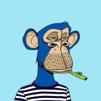 Mad Rex Club (@rexmad98108) 's Twitter Profile