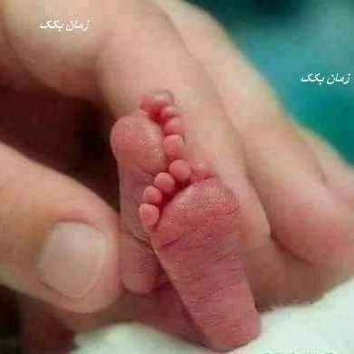 turfakhan103's profile picture. 