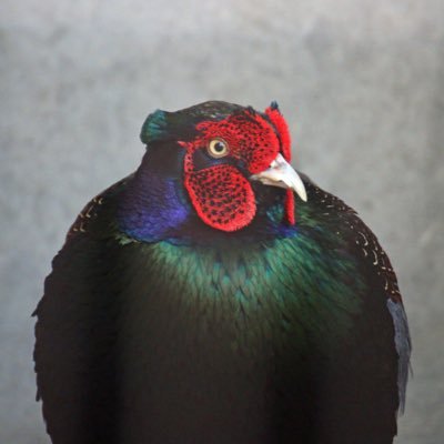 K_MechStudy52's profile picture. 田舎在住の伸び悩む機械設計者| 建設機械メーカー勤務|テニス&音楽が好き|英語頑張りたいと思う今日この頃