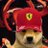 DaniB avatar