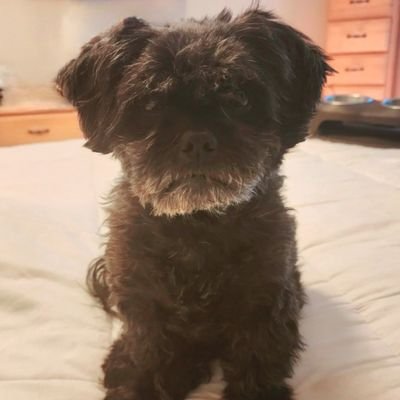 mlgill90's profile picture. 