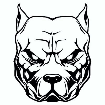 JrPitbul's profile picture. O Terrível, vulgo Avalanche🏔️🌊🌪️⛈️⛷️
carioca, rubro negro, conservador, 🇧🇷🤖