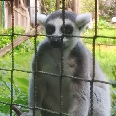 Bumbasas5515's profile picture. )