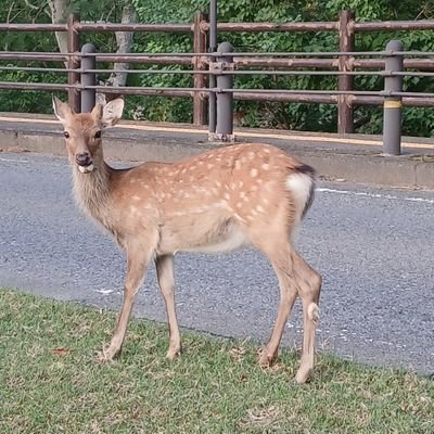 40代の奈良の男