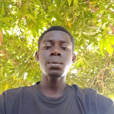 Jobarteh635281's profile picture. 