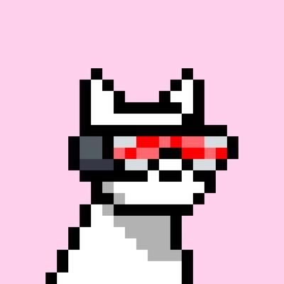 Digital Artist | Creator | Community Builder @doginaldogsx