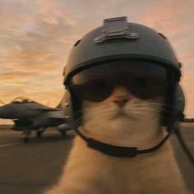 nejjjadparast's profile picture. یه لر ساده
،بکن مادر آیدا