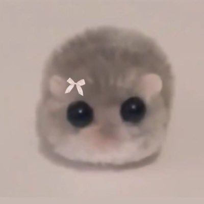 secretsuu_'s profile picture. rat rat rat rat rat. @suutiepie alt moots feel free to follow mwah