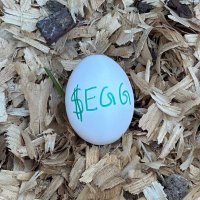 The Most Watched Egg (@mostwatchedegg) 's Twitter Profile Photo The Most Watched Egg (@mostwatchedegg) 's Twitter Profile Photo