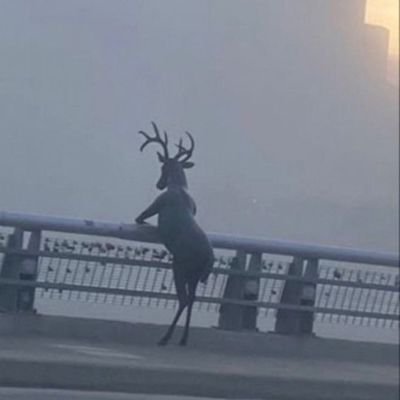 행인( •︠ˍ•︡ )さんのプロフィール画像