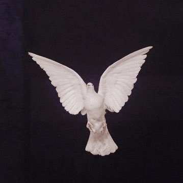 it's all very silly now huh 🕊️✌️ official thoughts of dovethedemo