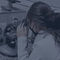Angelica Straine (@_necrotized) 's Twitter Profile