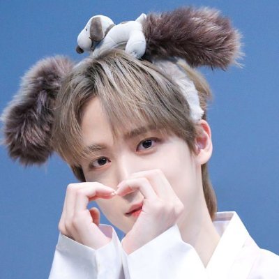 puppydorm enthusiast ♡ ynsng ⇅, wsn ⇅ & ynwσσ ⇅ • switch/vers truther • writiny • 🔞 rps/rpf, nsfw