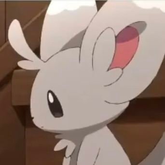Minccino conoisseur and winner of world's most irrelevant vgc player award | #1 Tenna Yume | Irrelevant ''artist'' | banner by @flbreglass