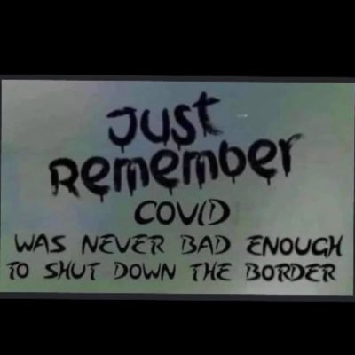 TMeadow123's profile picture. 