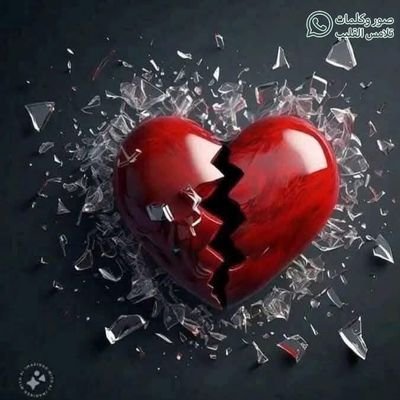 ﴿لَقَدْ جَاءَكُمْ رَسُولٌ مِّنْ أَنفُسِكُمْ عَزِيزٌ عَلَيْهِ مَا عَنِتُّمْ حَرِيصٌ عَلَيْكُم بِالْمُؤْمِنِينَ رَءُوفٌ رَّحِيمٌ﴾