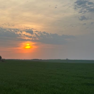 joserebelato's profile picture. Engenheiro Agrônomo e Produtor Rural.