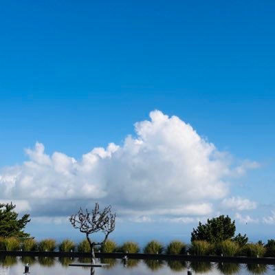 chuyangsuk's profile picture. 