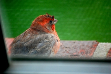 malathiR's profile picture. Special Educator, learning specialist interested in Assistive Technology, Education, Learning differences