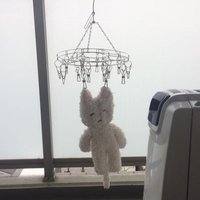 유기농멍텅 (@ygnngstpd) 's Twitter Profile