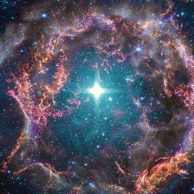 Novakush4248952's profile picture. #IAMCHARLIEKIRK
we will not forget Iryna