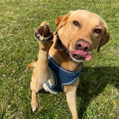 MartinWPol's profile picture. Socially conservative working class socialist. Gaullist. Zionist. Believer in Western values.