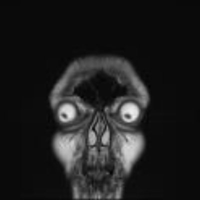 kellywarkentin's profile picture. There's a Llama in us all