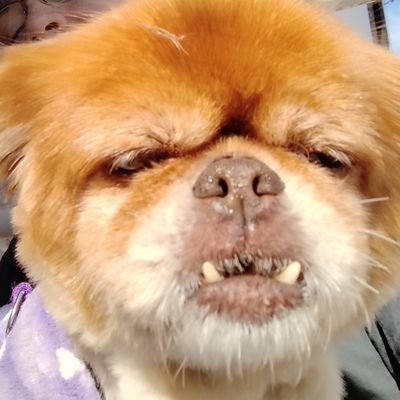 Beckasin_mc's profile picture. 