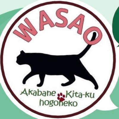WASAO❤︎保護猫達のシェアハウスさんのプロフィール画像