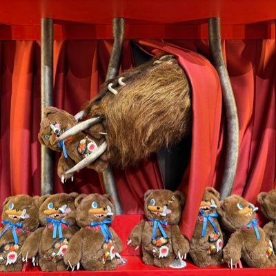 BR_MM1028's profile picture. 🌏のホラナイ、クロミライブの写真と動画/グラン2年目/遠征組成人済み/デカダントとエグゼ推し/最推しはデカダントの儚ボス/赤グラ、白セン、黒、緑推し/無断転載禁止/フォローや❤️はご自由ににどうぞ/同担歓迎/無言フォロー失礼します