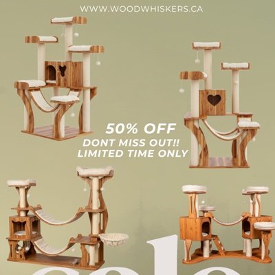 Pawsitively the last cat tree you'll ever buy. ✨ Handcrafted in Canada from solid wood for the wildest of kitties. #CatPeople #SustainablePetProducts